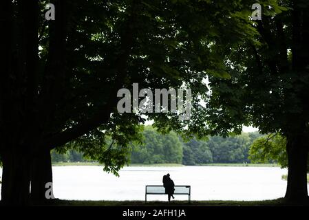 Personne assise au lac à l'ombre de beau vieux arbres dans un parc Banque D'Images