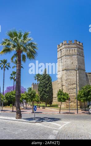 Tour de l'Alcazar de Jerez de la Frontera, Espagne Banque D'Images