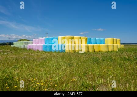 Champ herbacé avec balles de foin enveloppées dans du polyéthylène coloré Banque D'Images