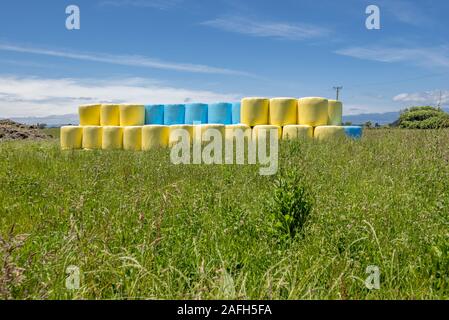 Champ herbacé avec balles de foin enveloppées dans du polyéthylène coloré Banque D'Images