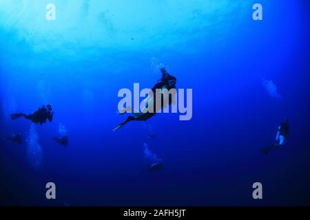 Groupe de plongeurs nageant dans les eaux bleues de la Mer Rouge Banque D'Images