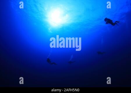 Groupe de plongeurs nageant dans les eaux bleues de la Mer Rouge Banque D'Images