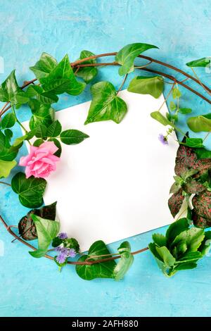 Invitation ou des cartes de vœux avec un modèle de conception de l'flatlay guirlande de feuilles et de fleurs, de haut en bas tourné sur un fond bleu avec une place pour le texte. Cadre rose et Ivy Banque D'Images