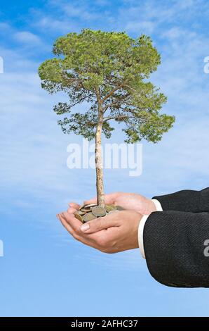 Palms avec un arbre à partir de la pile de pièces de monnaie growng Banque D'Images