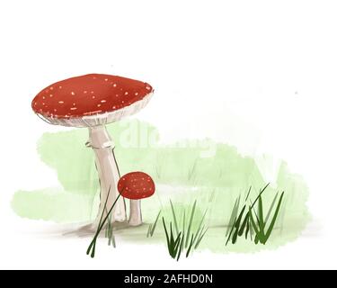 Champignon rouge dans l'herbe verte Banque D'Images