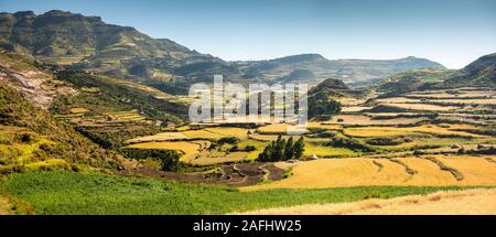 L'Éthiopie, du Tigré, Debab, mitoyenne, dans les champs agricoles paysage spectaculaire au moment de la récolte, vue panoramique Banque D'Images