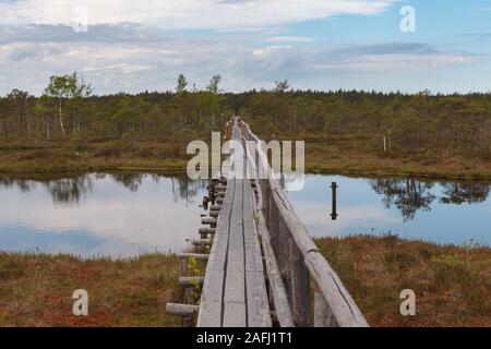 Ecopark dans les tourbières avec de petits lacs et de Vernonnet en bois. Marécage au milieu d'Estonie Banque D'Images