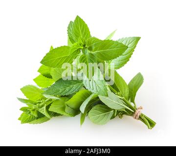 Bouquet de menthe isolé sur fond blanc Banque D'Images