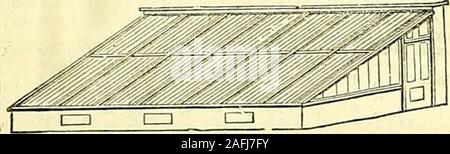. La Chronique des jardiniers et agricoles. La Gazette du chantier, prix au mètre carré ou 200 mètres pour 14s., ou 500 mètres lor 30s.. ou 1000m pour 50s. Vendu pour les jardiniers et les commerçants. bythecwt-nouveau tapis et ScriDJ Archange toile pour l'achat de mise à fruit, Tar-paulings pour les maisons en réparation, en location. Andinquiries poFt commandes par immédiatement refermées. t0H0S RTICULT ET SOCIÉTÉS DE LA FLORICULTURE. BENJAMIN EDGINGTON, iManufacturer theHorticultural à Chiswick, société, et le Royal BotanicSociety, Regents Park, sollicite l'attention sur son stock de Mar-quees et tentes de chaque variété, et sui:mesure fur tous les climats. Banque D'Images