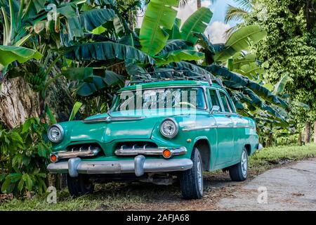 Baracoa, Cuba- le 16 novembre, 2019 : American Dodge oldtimer debout à une jungle road à Baracoa. Oldtimers historique sont une attraction principale de Cuba. Banque D'Images