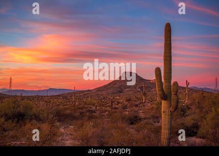 Arizona Sunset Vibrant Ciel avec catus et une formation de Butte en arrière-plan. Banque D'Images