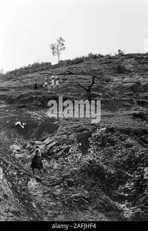 Saumpfaden Bergbauern auf unterwegs nach Markt à Port-au-Prince, 1967. Les agriculteurs de montagne en route to market à Port-au-Prince par l'intermédiaire de pistes cavalières, 1967. Banque D'Images