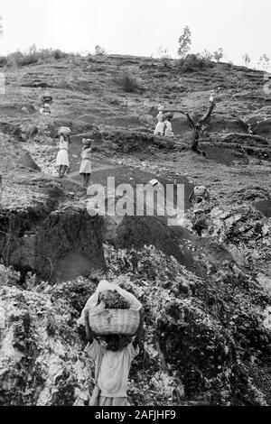 Saumpfaden Bergbauern auf unterwegs nach Markt à Port-au-Prince, 1967. Les agriculteurs de montagne en route to market à Port-au-Prince par l'intermédiaire de pistes cavalières, 1967. Banque D'Images