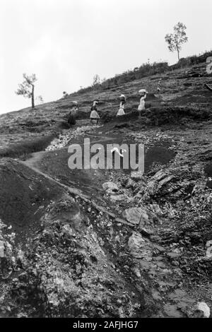 Saumpfaden Bergbauern auf unterwegs nach Markt à Port-au-Prince, 1967. Les agriculteurs de montagne en route to market à Port-au-Prince par l'intermédiaire de pistes cavalières, 1967. Banque D'Images