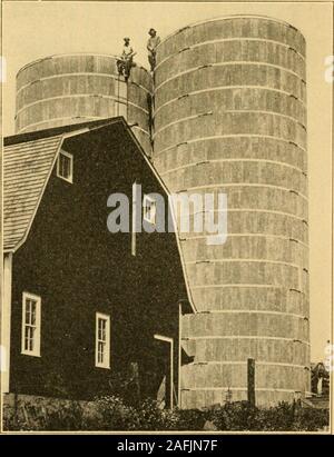 . Les silos en béton discontinue, Brooks brevet ;. et l'hoops correctement serré, theinside surface est plus travaillé avec un lavage du ciment contenant de l'waterproofchemicals. Il s'arrondit et durcit la surface intérieure de l'stavesand- remplir tous les joints, rendant ainsi le mur de façon hermétique et étanche. Et Chute de toit toits métalliques et des chutes peuvent être aménagées. Nous vous recommandons d'être thatmetal utilisé. Le chef de la panne des appareils en bois est le danger qui ofdestruction par feu, qui pourrait ruiner l'ensilage. Taille du silo de la taille d'thesilo à construire doit être déterminée par le nombre d'animaux s'befed towhich, et l'ensilage Banque D'Images