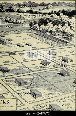. Comment nous faire payer les canards ... un guide illustré de l'élevage rentable de nos modernes Pekin tous les canetons de mammouth blanc ordinaire ; et approfondie des leçons pour débutants et d'autres partout qui écrivent pour les détails et les secrets de notre méthode sans eau... en personne L'ACCUEIL DE NOTRE DL (l'ensemble de la ferme ne pouvait pas être montré ici en raison de l'espace limité pour cette photo. Enougl idée de l'ampleur et de la capacité de l'usine.). 9 MARS 1907 Banque D'Images
