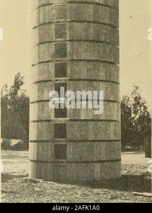 . Les silos en béton discontinue, Brooks brevet ;. qui peut être ob figurant d'une acre de maïs se varywith la fertilité de la terre, la saison d'été, et le soin mis dans la culture,de quinze tonnes, ou ci-dessous, pour trente tonsin des cas exceptionnels. Un cinquante-boisseau cropwill 8 à 12 tonnes de rendement d'silageper acre, selon le montant et offoliage theears les tiges qui les accompagnent. La pratique générale adoptée dans byfarmers la ceinture de maïs est à silo le cornears et tous ; l'ensemble de la récolte est un runthrough cutter et versé dans le silo, où un produit homogène et trampeddown avec soin, en particulier le long t Banque D'Images