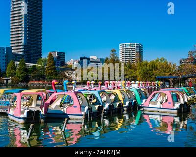 Les bateaux de plaisance à louer à bassin Shinobazu dans le parc Ueno, Tokyo/Japon Banque D'Images