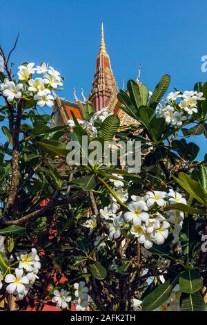 Wat Traeuy Kaoh temple bouddhiste et arbre frangipani fleuri sur l'île aux poissons près de cette vieille ville portuaire coloniale; Kampot, province de Kampot, Cambodge Banque D'Images