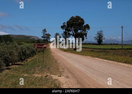 Iona ferme viticole de l'Elgin Valley, Western Cape, Afrique du Sud. Banque D'Images