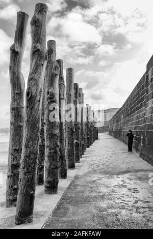 Poteaux en bois, de troncs, de la plage par les murs de la ville comme un brise-lames à Saint-Malo, Saint Malo, Bretagne, France en décembre figure à l'échelle montrant Banque D'Images