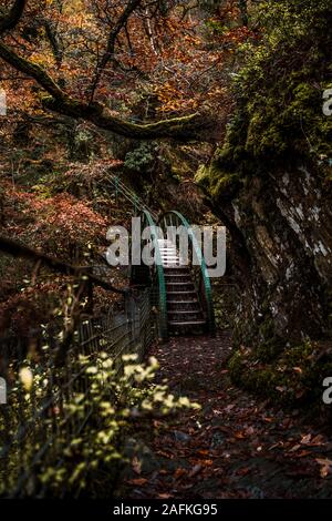 Forêt d'automne promenade sur pont à Mynach Falls, au Pays de Galles. Banque D'Images