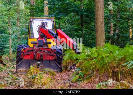 Conduite bulldozer dans la forêt, la déforestation et la sensibilisation à l'environnement, l'entretien de la réserve naturelle Banque D'Images