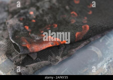 Les techniques de survie. A proximité de la combustion de charcloth shot. Matière est utilisée dans le feu, et faites par la pyrolyse de fibre végétale : lin, coton ou en jute. Banque D'Images