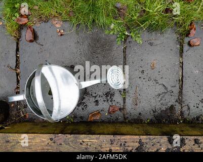 Portrait de l'arrosoir dans le jardin Banque D'Images