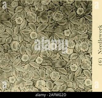 . Textiles décoratifs ; un livre illustré sur les meubles, les revêtements de murs et sols, y compris les damas, velours et brocarts, tapisseries, Dentelles, broderies, chintzes, cretones, de tentures et de meubles passementerie, papiers peints, moquettes et tapis, estampé et allumé en cuirs. Banque D'Images