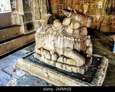 Nandi à Trimbakeshwar temple Siva. Triambakeshwar est un ancien temple hindou de la ville de Trimbak, dans le district de Nashik, Inde. Banque D'Images