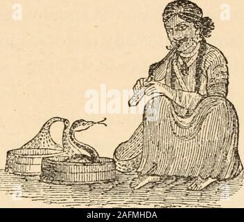 . Nos reptiles et batraciens ; un compte simple et facile des lézards, serpents, les tritons, les crapauds, les grenouilles et les tortues indigènes à la Grande-Bretagne. -^ 000 Nf z KJ o N 0 zo  l K &lt;r ta- d'ina ci UJ z &lt;3 UJ 0 & " , un UJ £ o z lD &Lt ;^ 4 * E Ul )- EST Q Z 5. Charmeur de serpent indiens.(D'après un croquis par un artiste autochtone.) REPTILES ET SNAKE-pierres. Les reptiles, en zoologie, tel qu'interprété il y a quarante ans, constituaient une classe d'animaux vertébrés (qui isanimals avec un backbone) intermédiaire entre l'birdsand poissons, ayant une plus grande affinité avec le latterthan l'ancien. Ils sont généralement décrits ins Banque D'Images