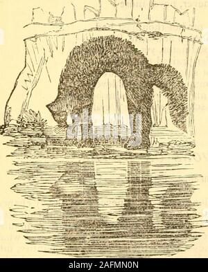 . Le choix de Thomas Hood, œuvres en prose et en vers. est par touchedon Byron dans son Corsair ; mais ensuite, à travers quelques scrupulousnessperchance-Coran, ils la prennent-dans l'eau ! La louange il y a été d'eau ; mais, comme l'a fait l'objet, inprose ; M. a écrit un volume, on me dit, dans ses félicitations,et surtout, de sa qualité nutritionnelle ; et vraiment à voir il theVictory flottante, avec tout son armement et compléter des canons et des hommes. onemust avoue il y a un certain appui iw il-•au moins comme une appli-cation ! Mais alors, pris intérieurement, regardez l'épave de l'RoyalGeorge ! La mention o Banque D'Images