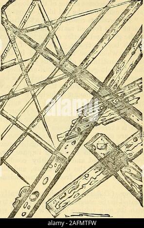 . Cooley's Cyclopedia de recettes pratiques et de l'information collatérale dans les arts, manufactures, professions et métiers, y compris la médecine, pharmacie, l'hygiène, et l'économie nationale : conçu comme un supplément à la pharmacopée et de l'ouvrage de référence pour le fabricant, commerçant, amateur, et des chefs de familles. Fromurine cristallisé de l'urée. Fromwater cristallisé de l'urée. Banque D'Images