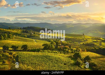 Panzano in Chianti vignoble et panorama au coucher du soleil en automne. Toscane, Italie l'Europe. Banque D'Images