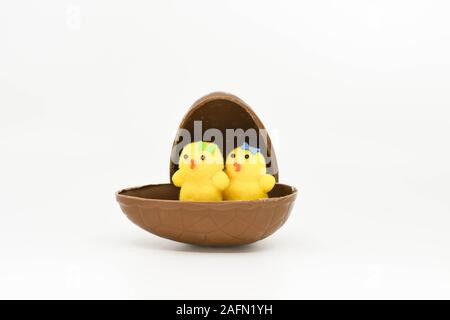 Deux petits poussins modèle jaune assis dans la moitié d'un oeuf de Pâques en chocolat isolé sur un arrière-plan uni, blanc Banque D'Images