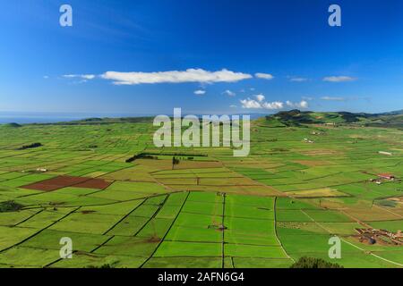 Vue de Miradouro Serra do Cume. Île de Terceira, Açores Banque D'Images