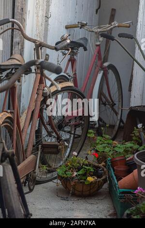 Des vélos vintage colorées stationné dans un petit jardin à l'arrière par le mur Banque D'Images