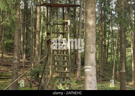 Assise haute des chasseurs dans la forêt avec tronc de l'arbre en premier plan Banque D'Images