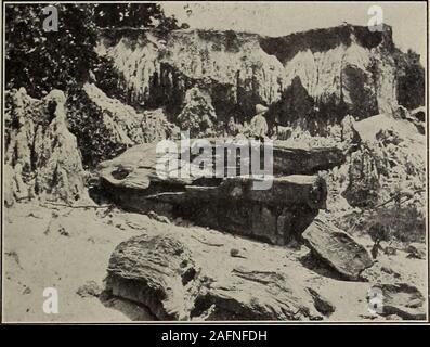 . Mensuel de vulgarisation scientifique. Fig. 1. Montrant la ligne de démarcation entre du Quaternaire et du tertiaire.Au-dessus de cette ligne d'un journal est vu dans sa position d'origine. La flore, Miss., Juin, 1912. Forêt Pétrifiée DE MISSISSIPPI 467. Fig. 2. Un journal pétrifié d'environ six pieds de diamètre et 20 pieds de long,fendu sur toute sa longueur. Derrière c'est vu l'érosion wall.log sous les évidences de l'érosion peuvent aussi être vues.Flore, Miss., Juin, 1912. Banque D'Images