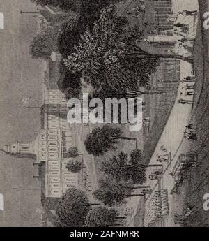 . Rapport annuel de l'American Scenic and Historic Preservation Society à l'assemblée législative de l'État de New York.. ua CO pour &Lt ; X c &Lt ; Banque D'Images