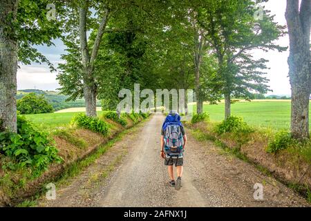 Un voyageur solitaire dans la campagne italienne de Toscane en été Banque D'Images