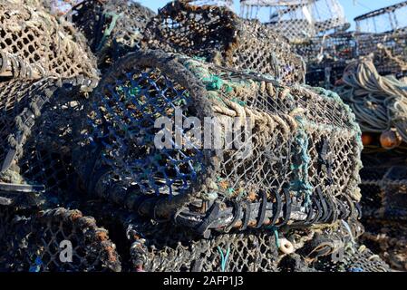 Gros tas de la nasse ou pots utilisés par les pêcheurs côtiers à attraper des crabes et homards sur le quai à Paignton, Devon, UK. Banque D'Images