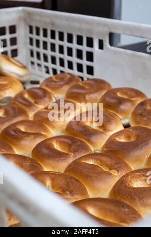 Les bagels en cours à une boulangerie traditionnelle juive dans Brick Lane, East London, UK. Bagels sont traditionnellement bouillir brièvement avant qu'ils sont cuits. Banque D'Images