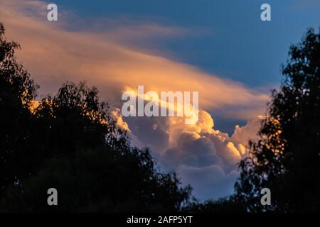 Les nuages en orange, bleu clair et rose avec ciel bleu, vu entre les arbres d'une forêt Banque D'Images