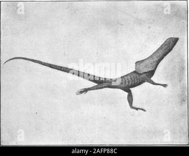 . Scientific American 74 Volume Numéro 14 (avril 1896). ture est désirée, l'émetteur est pris fromits crochet sur le côté gauche de la boîte et l'oreille lorsque détenus jusqu la droite de l'opérateur sur le bouton turnsthe le cadran jusqu'à un point est atteint son whereno est entendu. Le cadran indique alors la main temperftture thetrue. Si vous le désirez, un certain nombre de bobines peut être situé de façon permanente à un certain nombre de signaux éloignés les pointset jeté dans la liaison avec le centre de zone de numérotation, atwill, au moyen d'un commutateur de sélection ; un peu schemewhich pourrait être utile pour l'application pratique dans alarge travaux gaz, comme ce serait en Banque D'Images