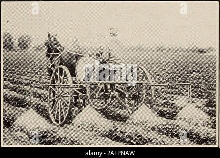 . Biggle jardin livre ; les légumes, petits fruits et fleurs pour le plaisir et profit. ction, ont non-corrosif, être durableand laiton workingparts capable d'utilisation standhard beeasily topieces, prises pour re-pipesproperly arrangedto paire, ont empêcher obstruer-ging, et être pro-anagitator whichkeeps rational, solution de l'dans vigorousmotion et complètement distribué. Jugeant une pumpby bon marché seul est susceptible d'être pauvre de l'économie. La buse buses : Vermorel est très populaire;il en est plusieurs autres, que j'ai essayé. Le chose à la demande est un injecteur qui jettera afine mist, comme de la vapeur, qui s'installer Banque D'Images