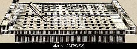 . Biggle jardin livre ; les légumes, petits fruits et fleurs pour le plaisir et profit. er-pouce. Pour le chou, tomate, laitue et la plupart des autres plantes les trous doiventêtre environ deux pouces à part pour la première transplantation.Of cours, les trous peuvent être faits avec un ordinarystick ou dibber, et sans l'aide de ce conseil;mais le conseil est certainement une aide quand plantsare beaucoup augmenté.) Placez la main gauche sur le bord, tenez-ing-le fermement, et avec la main droite et en forme spéciale dibber (le dibber devrait fonctionner librement),la perforation des trous dans le sol prêt à recevoir des theplants. Si le sol contient juste le Banque D'Images