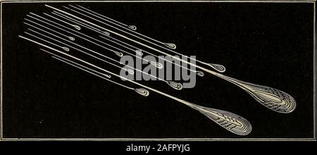 . Éléments de l'astronomie : accompagné de nombreuses illustrations, une représentation en couleur de l'énergie solaire, et les spectres stellaires, nébulaire, et les cartes de la céleste et du nord de l'hémisphère sud. rs. Dans le cas de l'Novembre et météores août et le tir-étoile en règle générale, la fourniture de la chaleur solaire ? 314. Quelle est la taille des particules qui composent le theNovember douche ? Quelle est sa hauteur ? De quel type de matériaux sont à theythought il composé ? 315. À quoi d'autre si ce qu'a été dit sur theNovember météores s'appliquer ? Qu'est-ce qu'il y a raison de croire que pas threebodies concernant Banque D'Images
