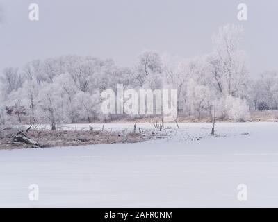 North Sioux City, South Dakota, USA. Dec 16, 2019. Sur un matin brumeux, givre, un dépôt de l'aiguille, comme des cristaux de glace se forment sur le sol ou près du sol par condensation directe à des températures sous le point de congélation, les arbres et les autres végétaux à l'Adams Homestead et préserver la nature dans la région de North Sioux City, Dakota du Sud Lundi, 16 décembre 2019. Credit : Jerry Mennenga/ZUMA/Alamy Fil Live News Banque D'Images